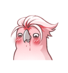 Sleepy Cockatoo（個別スタンプ：24）