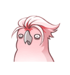 Sleepy Cockatoo（個別スタンプ：26）