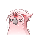 Sleepy Cockatoo（個別スタンプ：27）