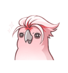 Sleepy Cockatoo（個別スタンプ：29）