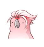 Sleepy Cockatoo（個別スタンプ：30）