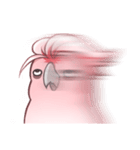 Sleepy Cockatoo（個別スタンプ：35）