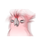 Sleepy Cockatoo（個別スタンプ：37）