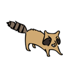 My Best Friend Is A Raccoon（個別スタンプ：11）