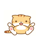 cat fuku05（個別スタンプ：12）
