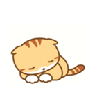 cat fuku05（個別スタンプ：32）