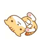 cat fuku05（個別スタンプ：34）