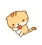 cat fuku05（個別スタンプ：35）