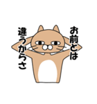 煽りキャット（個別スタンプ：3）