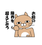 煽りキャット（個別スタンプ：9）