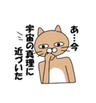 煽りキャット（個別スタンプ：10）