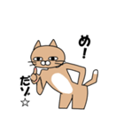 煽りキャット（個別スタンプ：12）