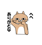 煽りキャット（個別スタンプ：17）
