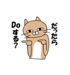 煽りキャット（個別スタンプ：20）