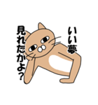 煽りキャット（個別スタンプ：21）