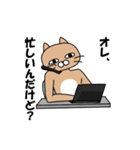 煽りキャット（個別スタンプ：30）