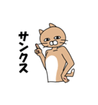 煽りキャット（個別スタンプ：31）