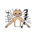 煽りキャット（個別スタンプ：37）