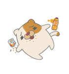 Fat nerd cat（個別スタンプ：1）