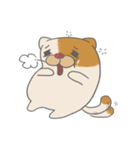 Fat nerd cat（個別スタンプ：3）