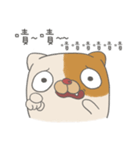 Fat nerd cat（個別スタンプ：6）