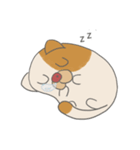 Fat nerd cat（個別スタンプ：10）