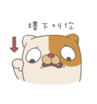 Fat nerd cat（個別スタンプ：17）