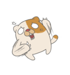 Fat nerd cat（個別スタンプ：25）