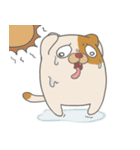 Fat nerd cat（個別スタンプ：27）