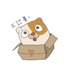 Fat nerd cat（個別スタンプ：29）
