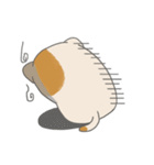 Fat nerd cat（個別スタンプ：30）