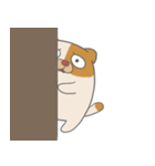 Fat nerd cat（個別スタンプ：35）