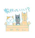 かぞくねこ（個別スタンプ：20）