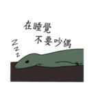 The 2nd turtle casual present（個別スタンプ：3）