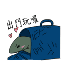 The 2nd turtle casual present（個別スタンプ：12）