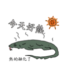 The 2nd turtle casual present（個別スタンプ：14）