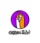 ThickBrowBoy helps you to tell the truth（個別スタンプ：10）