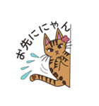 猫 ベンガル子猫 べんちゃん 女子編（個別スタンプ：13）
