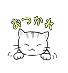 しまねこしまこ（個別スタンプ：3）