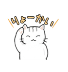 しまねこしまこ（個別スタンプ：12）