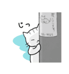 しまねこしまこ（個別スタンプ：29）