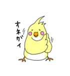 インコバ（個別スタンプ：1）