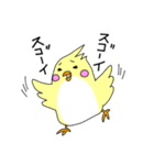 インコバ（個別スタンプ：5）