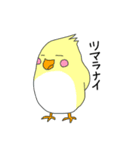 インコバ（個別スタンプ：12）