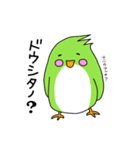 インコバ（個別スタンプ：15）