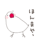 関西弁の白文鳥 3（個別スタンプ：15）