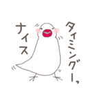関西弁の白文鳥 3（個別スタンプ：16）