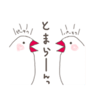 関西弁の白文鳥 3（個別スタンプ：36）
