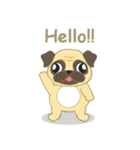 Pugsuke（個別スタンプ：6）