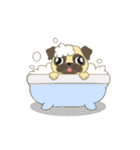 Pugsuke（個別スタンプ：16）